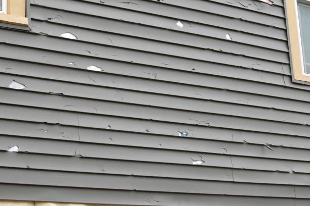 Best Vinyl Siding Installation  in Hawthorn Woods, IL